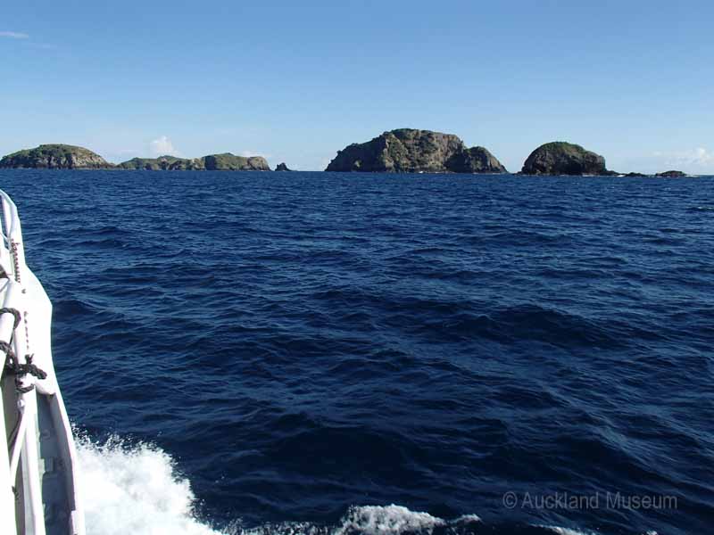 Cavalli Islands - here's where we're going to sneak in our first dive before we reach the Three Kings tomorrow at dawn