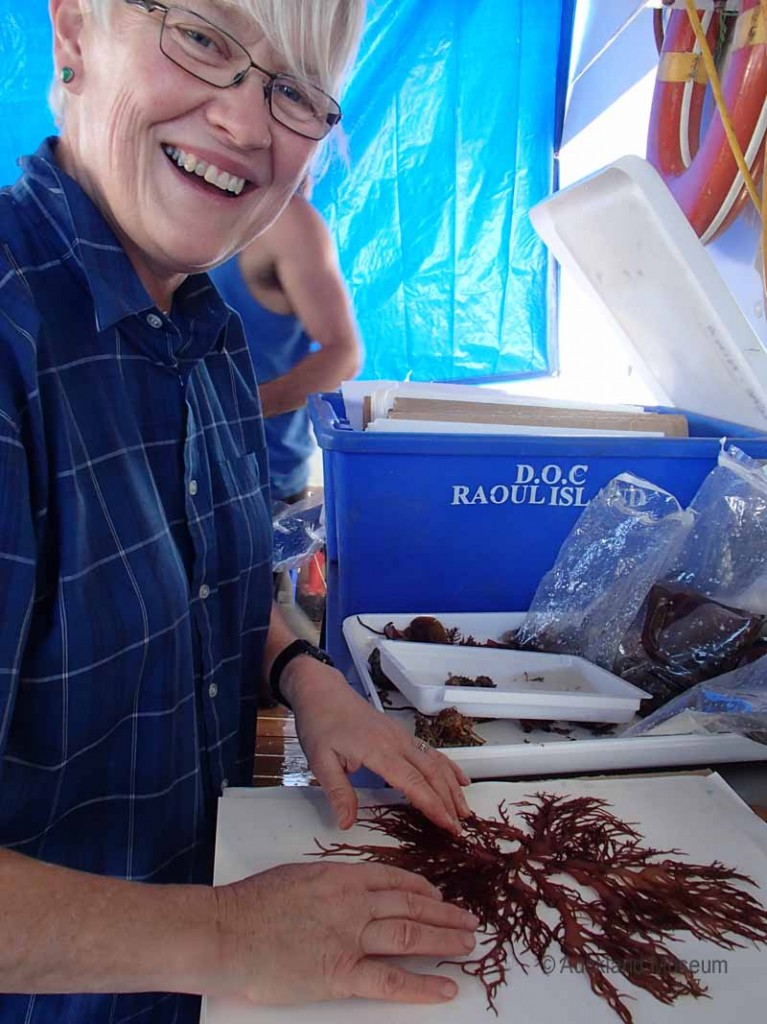 Happy seaweed folk - Wendy sorts through the Roberta's finds from her dive around the Cavalli Islands