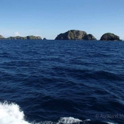 Cavalli Islands – here’s where we’re going to sneak in our first dive before we reach the Three Kings tomorrow at dawn © Auckland Museum